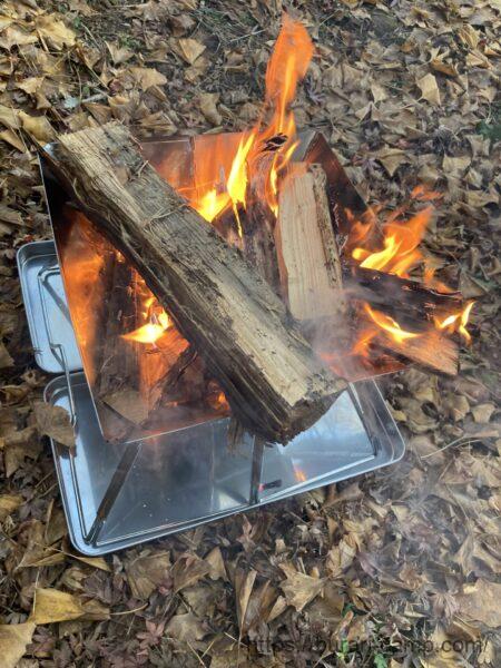 317-e1651421151288.jpg?v=